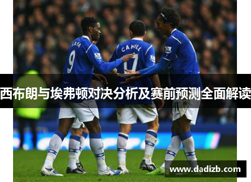 西布朗与埃弗顿对决分析及赛前预测全面解读
